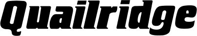 Qualridge Logo